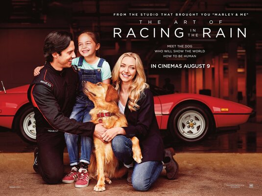 The art of racing in the rain fmovies sale